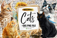 Cats Clipart Png Huge Bundle Product Image 1