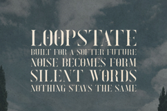 Exquisite Elegant Stencil Serif Font Product Image 4