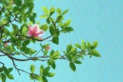 Pink Flowers Background PNG, Floral Background Designs Product Image 4