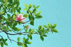Pink Flowers Background PNG, Floral Background Designs Product Image 4