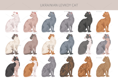Ukrainian Levkoy cat clip art Product Image 4