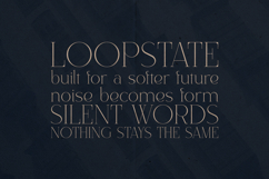 Alora Elegant Modern Serif Font Product Image 4