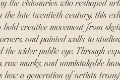 Aviel Elegant Expressive Serif Font Product Image 4