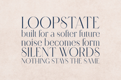 Retro Dream Elegant Modern Serif Font Product Image 4