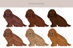 Sussex Spaniel clipart Product Image 4