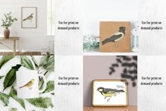 Vintage Birds, Antique Birds Clipart Product Image 4