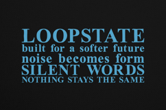 Oldink Organic Serif Font Product Image 4