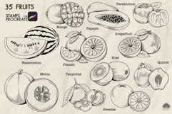 Fruits Procreate Stamp Brushes Product Image 4