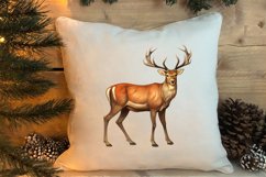 Vintage Christmas Clipart Sublimation, Christmas Clipart Product Image 4