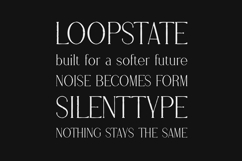 Stolen Love Rough Serif Font Product Image 4