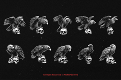 10 Bundle Dark Art Eagle with Skull wild bird Tattoo Clipart Product Image 6