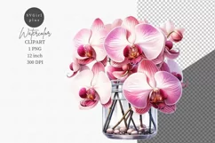 Orchids clipart, Flowers clipart, Flowers sublimation Product Image 1