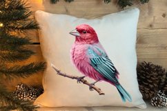 Christmas Birds Clipart , Christmas Birds Clipart Product Image 4