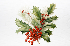 Winter Christmas Greenery Clipart PNG Product Image 4