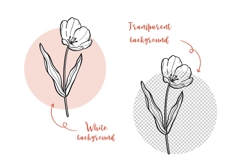 Tulip Line Art, Botanical Clipart SVG &amp; PNG Product Image 5