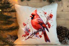 Christmas Cardinal Watercolor Clipart, Christmas Cardinal Product Image 4