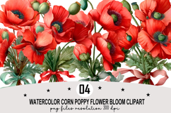Watercolor Corn Poppy Flower Bloom Clipart Watercolor PNG Product Image 1