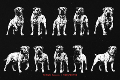 10 Bundle Dark Art Barboel Dog Beast Pitbul Paw Puppy Collar Product Image 6