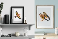 Vintage Birds, Antique Birds Clipart Product Image 4