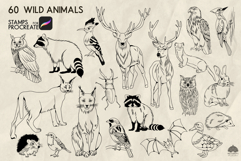 Wild animals Procreate Stamps Product Image 4