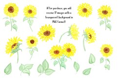 Watercolor sunflower clipart Product Image 3