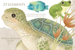 Australian Animals Clip Art Vol 4 Product Image 4