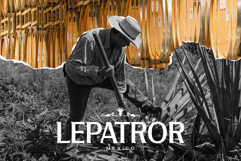 Lamrata Serif Display Font Product Image 4