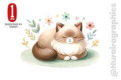 Baby Burmese Cat - JPG File Product Image 1