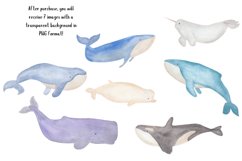 Watercolor whale animal clipart Product Image 3