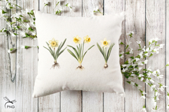 Spring flowers. Narcissus cliparts Product Image 4