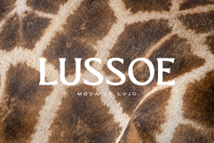 El Pacre Display Font Product Image 4