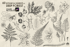 Botanical forest Procreate stamp brushes Product Image 4