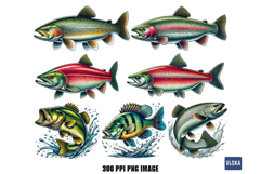 Freshwater Fish PNG Bundle Product Image 4