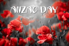 Poppy World Style Product Image 4