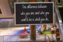 Nightday Product Image 4