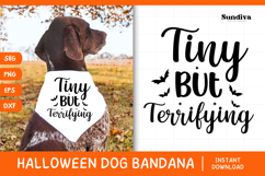 Funny Halloween Dog Bandana Quote SVG | Tiny But Terrifying Product Image 1