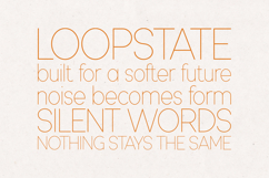 Modern Heritage Elegant Minimal Sans Serif Font Product Image 4