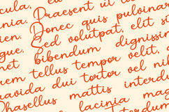 Millatira Elegant Script Font Product Image 4