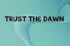 QUINN Product Image 5