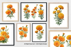 15 Bundle Watercolor Marigold Rose Flower Floral Botanical Product Image 4