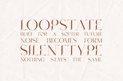 Mickle Elegant Serif Font Product Image 4