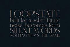 Rowan Elegant Modern Serif Font Product Image 4