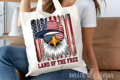 Land of the Free PNG, Patriotic Eagle USA Flag Sublimation Product Image 4