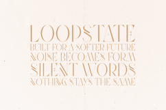 Future Flow Futuristic Elegant Serif Font Product Image 4