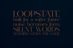 Rowan Elegant Modern Serif Display Font Product Image 4