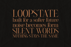 Flowrite Serif Font Elegant High-Contrast Product Image 4