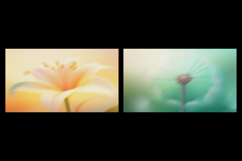 Vintage Floral Grainy Backgrounds Product Image 4