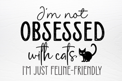 Funny Quotes Designs SVG Product Image 4