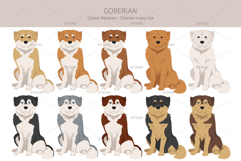 Goberian dog mix Product Image 3