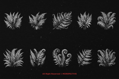 10 Bundle Dark Art Fern Plant Wild Leaf Botanical Horror Product Image 6